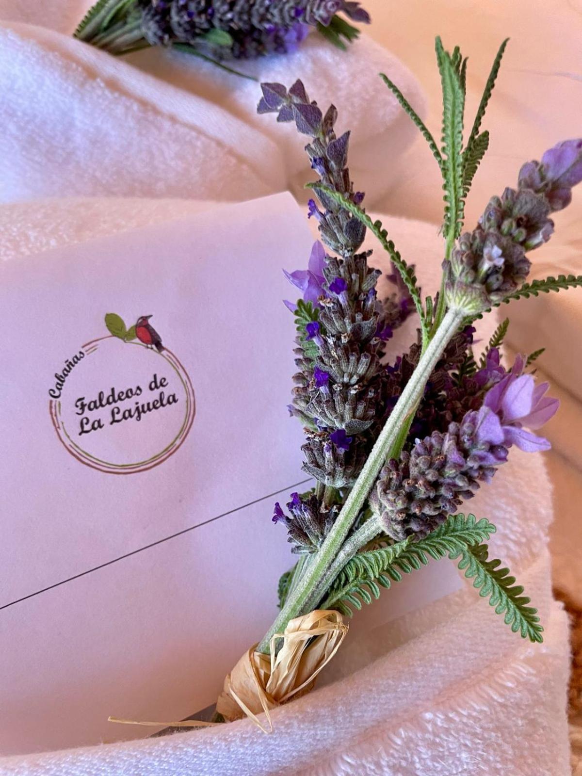 Cabanas Boutique Faldeos De La Lajuela Santa Cruz Εξωτερικό φωτογραφία